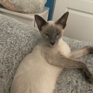 Meet your Posher, Vanessa